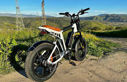 Engwe M20 electric bike