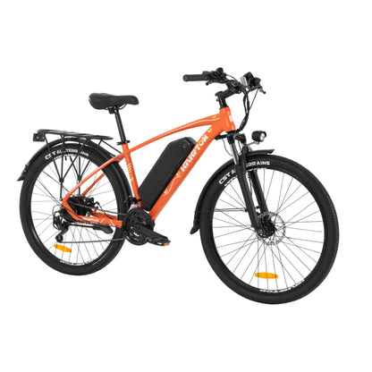 Hampton electric bike HM2